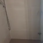 Sal *